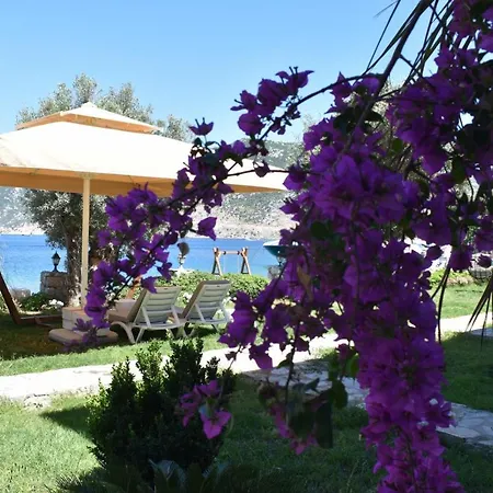 Szálloda Fiska Butik