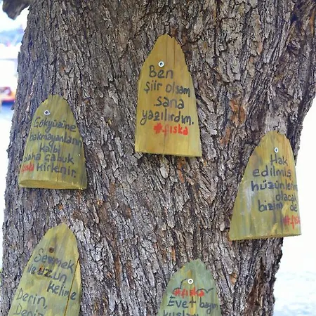 Szálloda Fiska Butik 4*