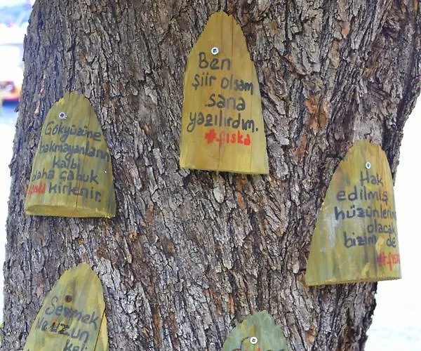 Hotel Fiska Butik 4*